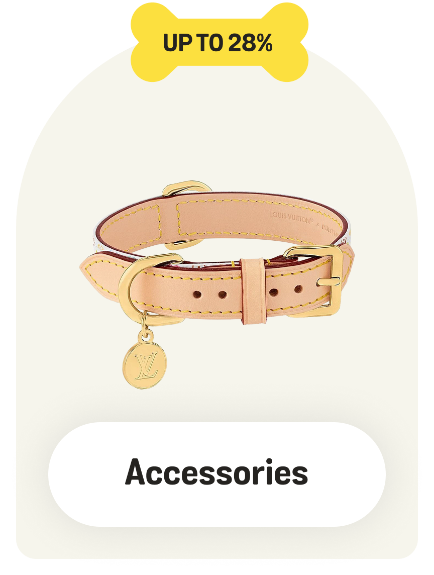 Dog Accessories