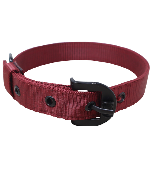Ranch Nylon Collar For Dogs