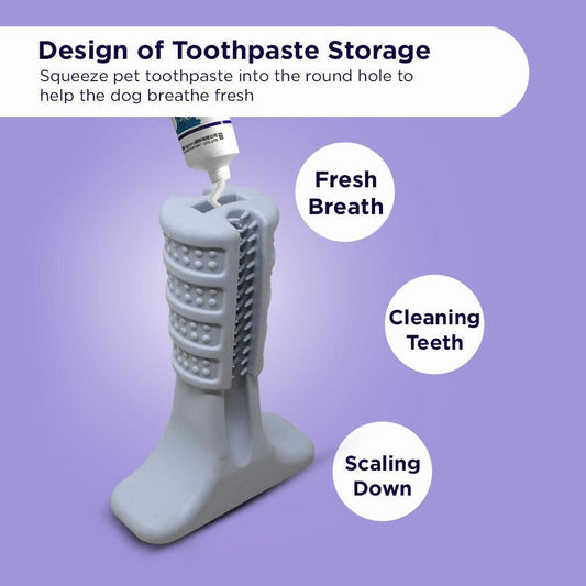 Plushmate Tooth Brush Stick Chew Toys for Dog Teeth Cleaning & Brushing Oral Dental Care Toy - Bite Resistant (Large)
