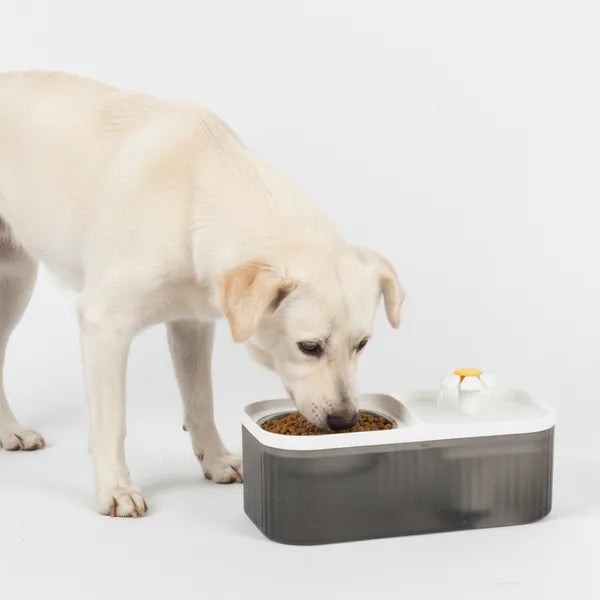 Skatrs Water Fountain with Food Bowl & Adapter for Dogs and Cats (Grey/White)