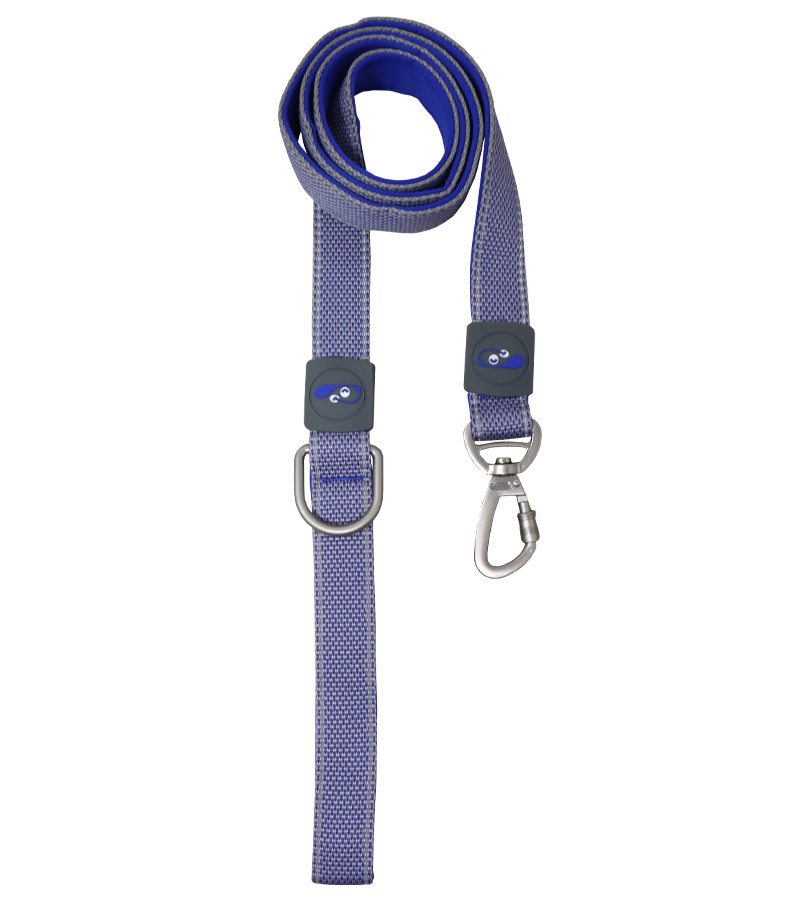 Holy Paws Plush Fusion Leash For Dogs