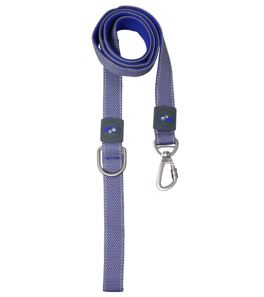 Holy Paws Plush Fusion Leash For Dogs