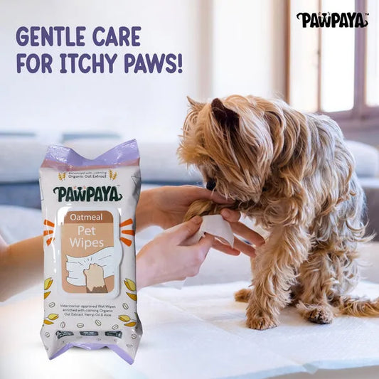 Pawpaya Oatmeal Wipes for Pets (Pack Of 100)