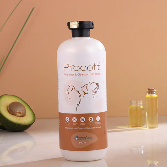 Intas Procott Shampoo for Dogs And Cats 275ml