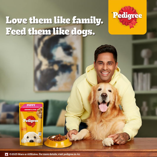 Pedigree Puppy Wet Dog Food, Chicken Chunks in Gravy 130gms