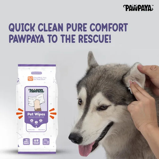 Pawpaya Pet Wipes Made for All Cats and Dogs (Pack Of 40)