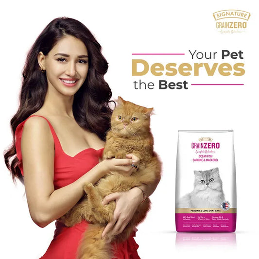 Signature Grain Zero Ocean Fish, Sardine and Mackerel Long Coat & Persian Adult Cat Dry Food