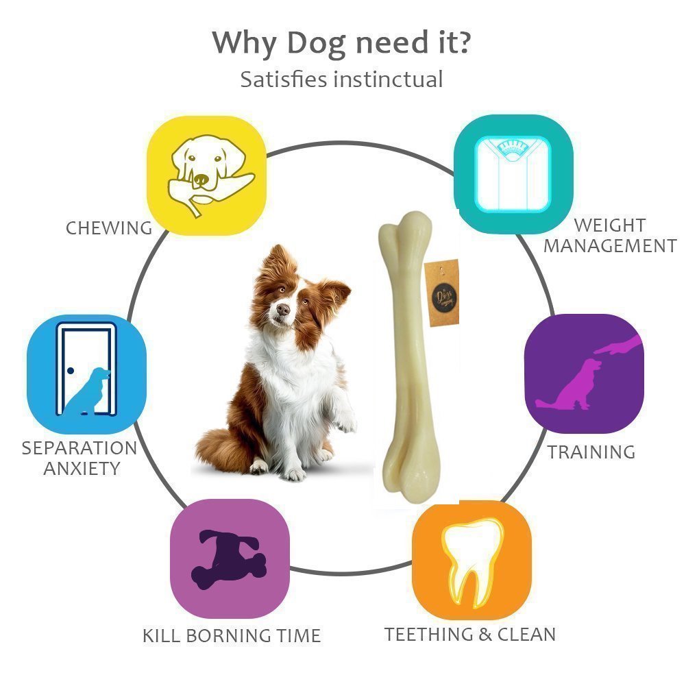 Smartypet Plastic Bone Teething And Chew Toy For Dogs And Puppies(Small)