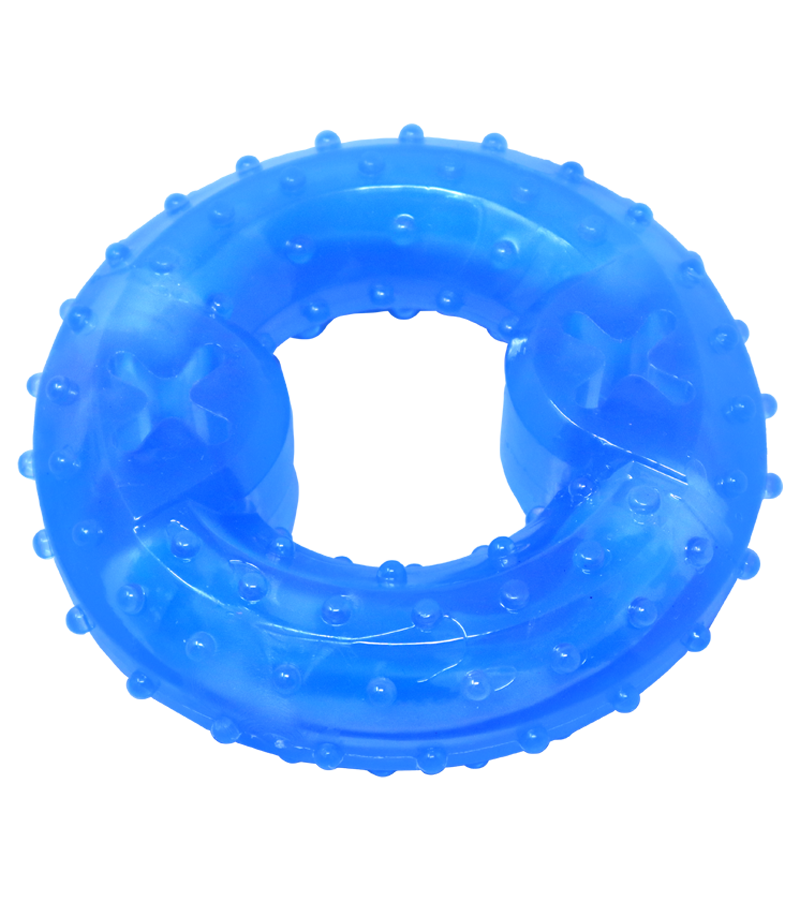 Holy Paws Cool Ring With Treat Dispenser Chilled Chew Toy For Dog - Blue