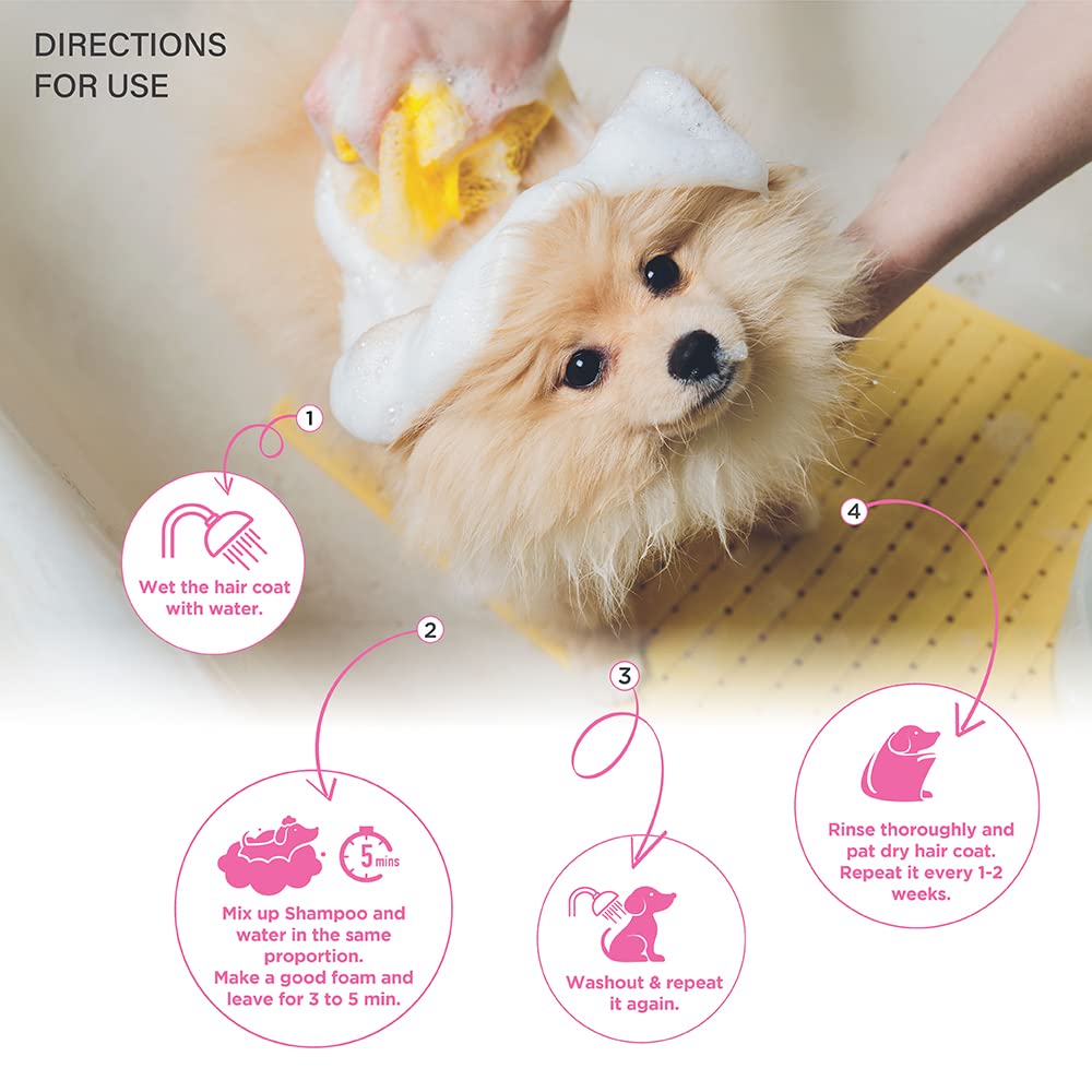 Lozalo Floral Aromatherapy Pet Conditioning Shampoo ,Lily Fragrance | Coat Cleansing, Odour Control Shampoo for Dogs & Cats | with Aloe Vera Extract and Saffron Oil