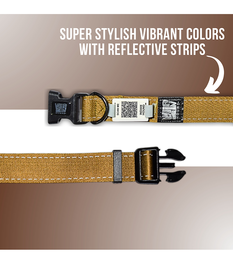 Indian Hound Dog Collar with Personalized QR Tag