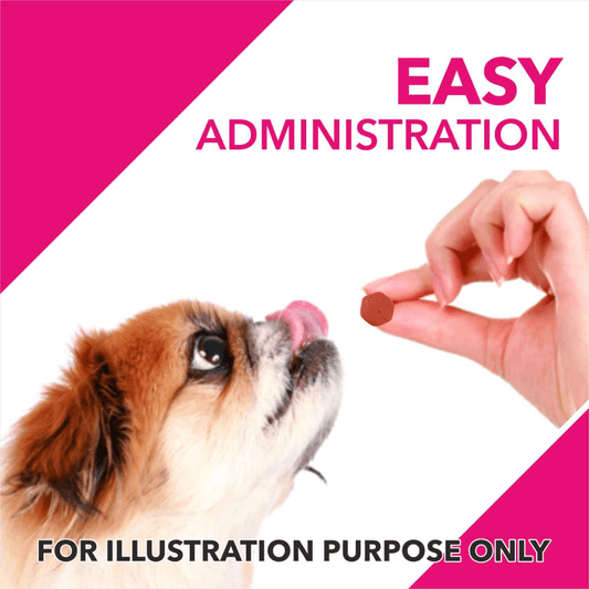 Drools Absolute Skin & Coat and Absolute Vitamin Supplement Tablets for Dogs Combo