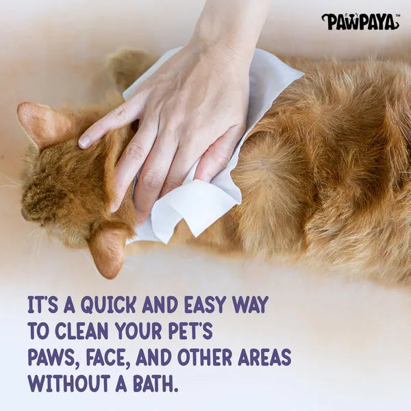 Pawpaya Oatmeal Wipes for Pets (Pack Of 100)