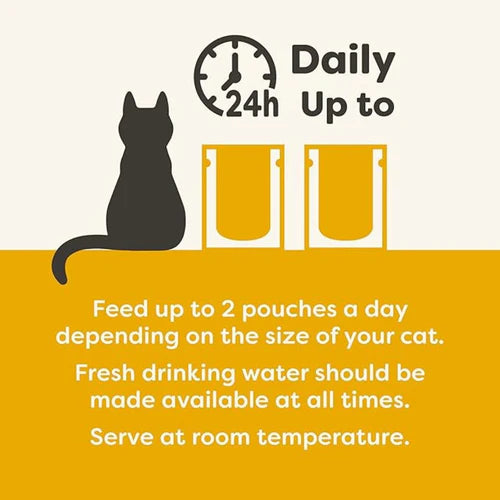 Applaws Chicken Breast with Pumpkin in Broth Cat Wet Food