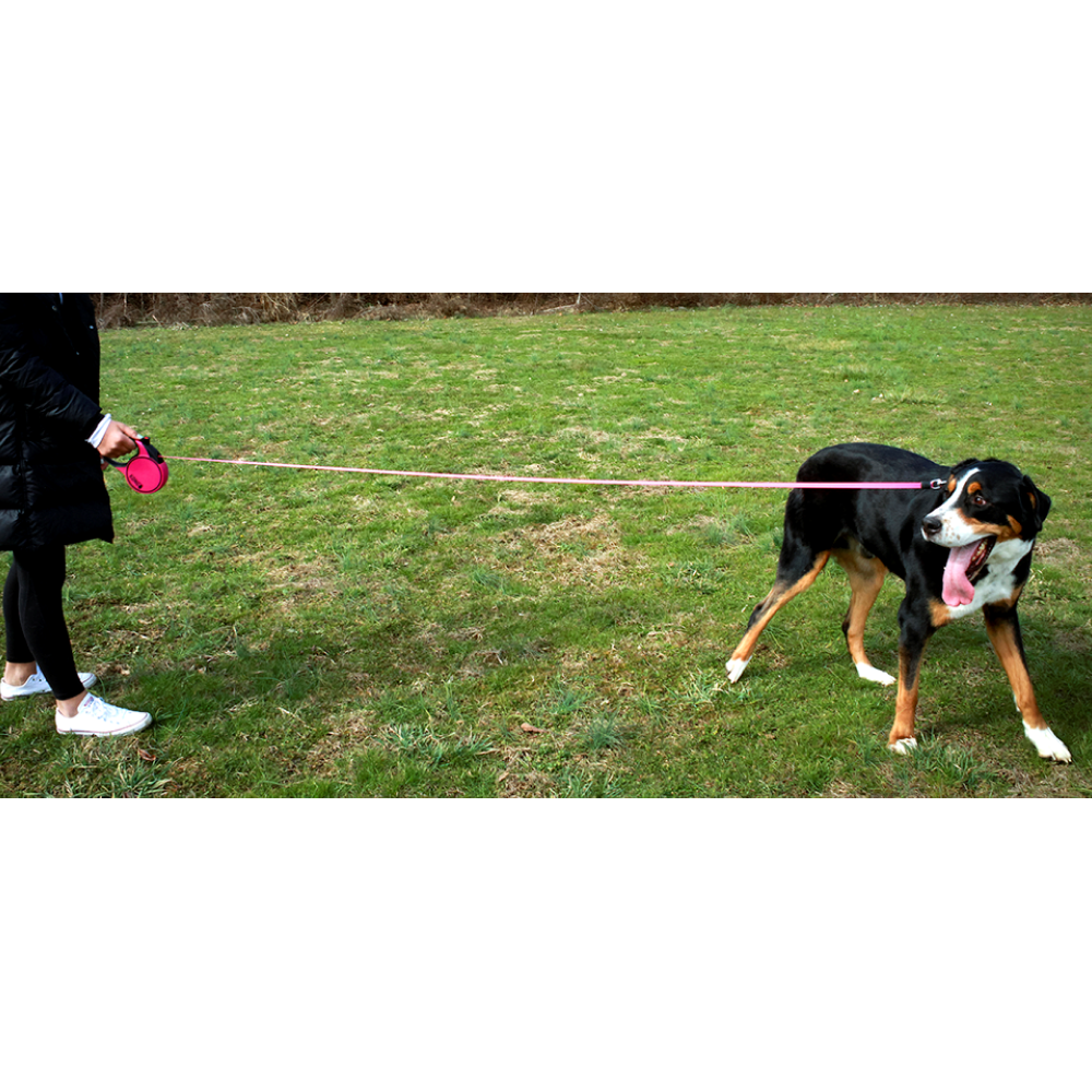 Kong Terrain Retractable Leash for Dogs and Cats (Fuchsia)