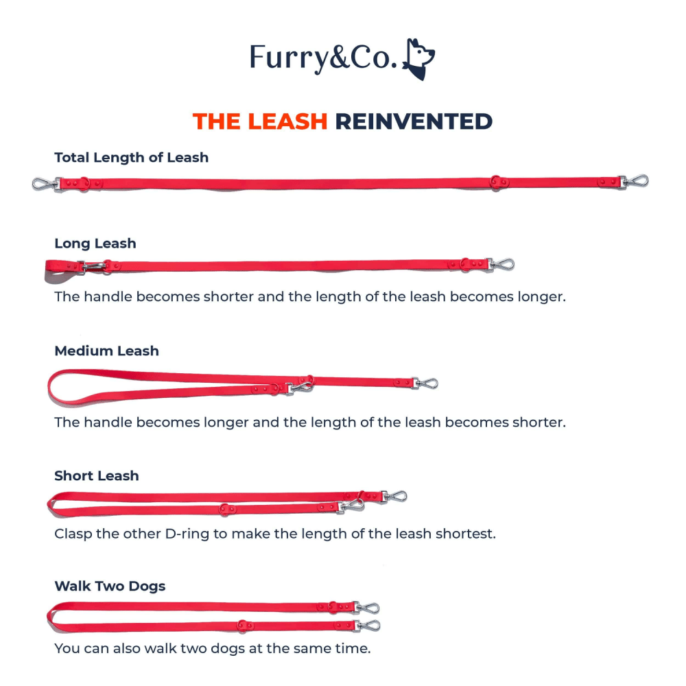 Furry & Co Weatherproof Leash for Dogs (Lilac)