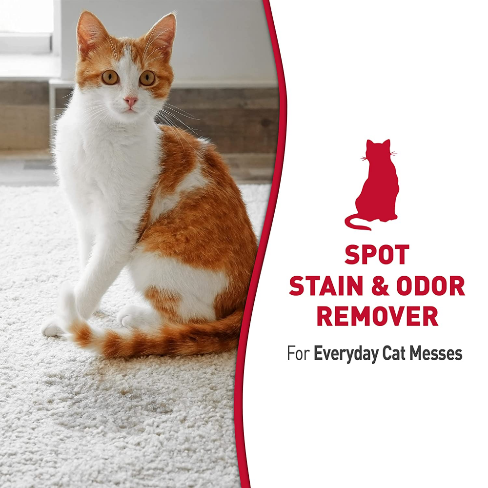 Nature’s Miracle Stain & Odor Remover for Cats