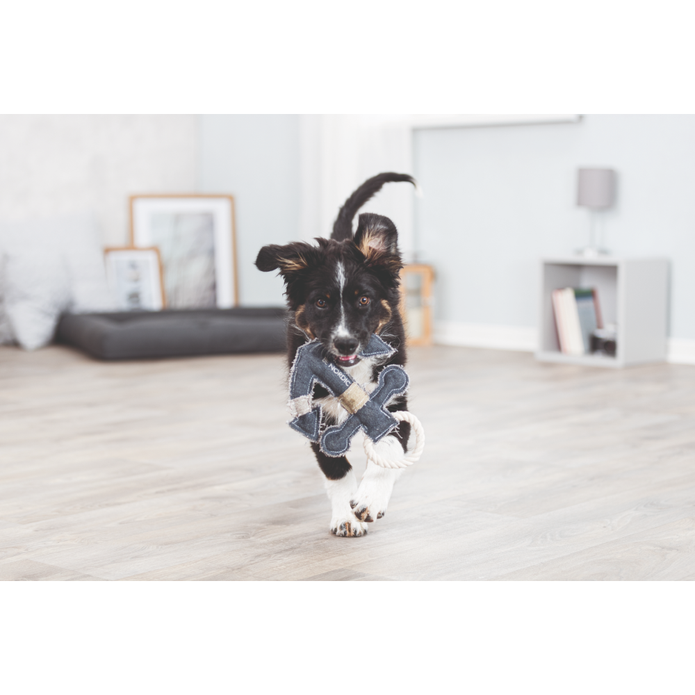 Trixie Be Nordic Anchor Toy for Dogs