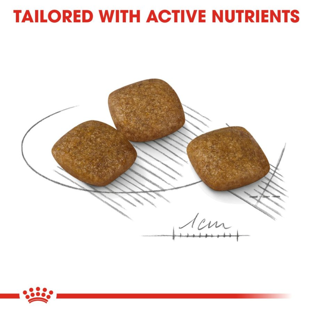 Royal Canin Mini Relax Care Dog Dry Food