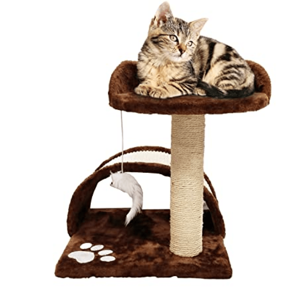 Emily Pets Cat Tree Scratching Post for Kittens & Cats (Black)
