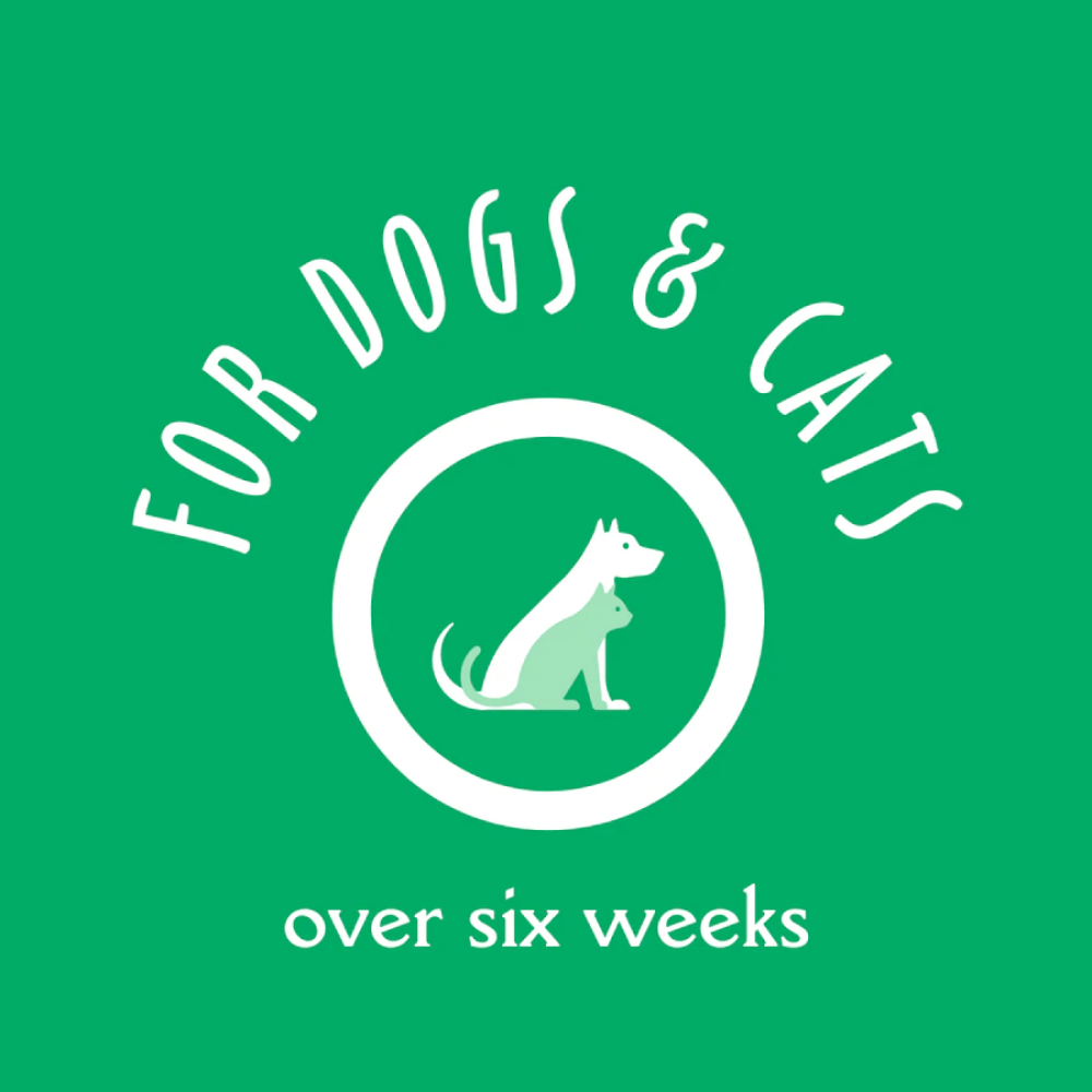 EarthBath Shed Control Green Tea & Awapuhi Shampoo for Dogs and Cats
