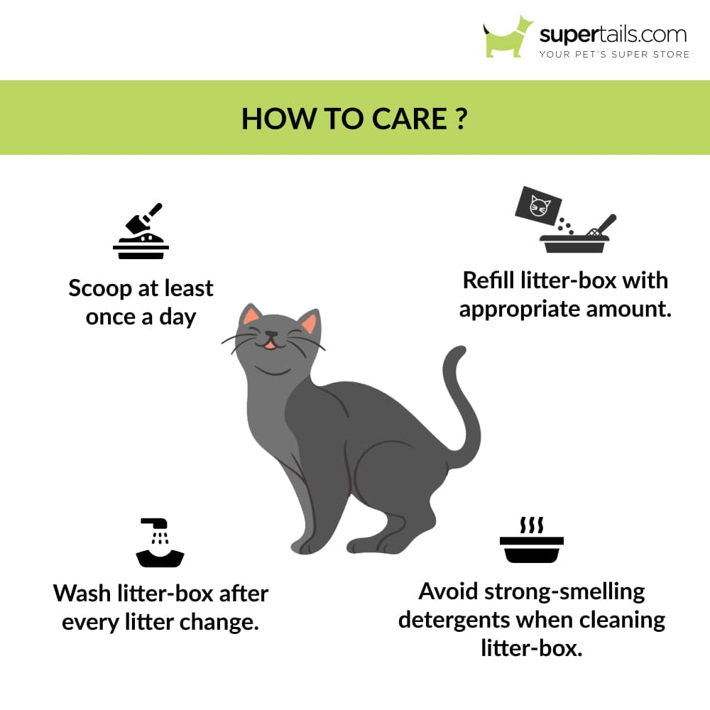 Trixie Vico Cat Litter Tray with Hood for Cats (Dark Grey)