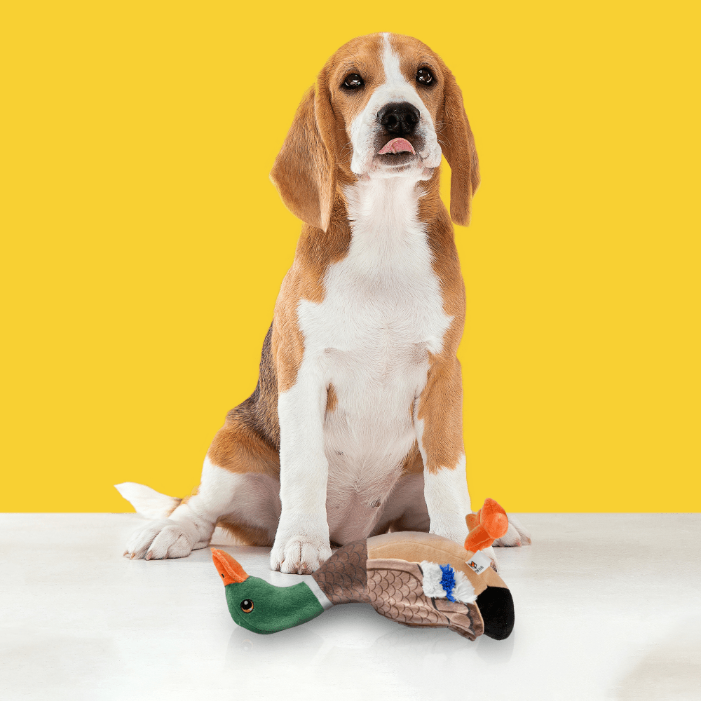 Fofos Plush Wild Duck Toy for Dogs