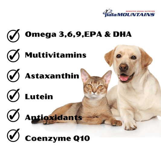 My Beau Vision & Optics Health Supplement for Dogs and Cats(300ml)