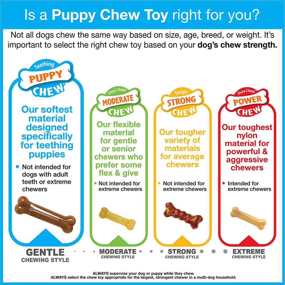 Nylabone Puppy Teething Chicken Flavoured Wish Bone Chew Toy for Dogs (Blue)