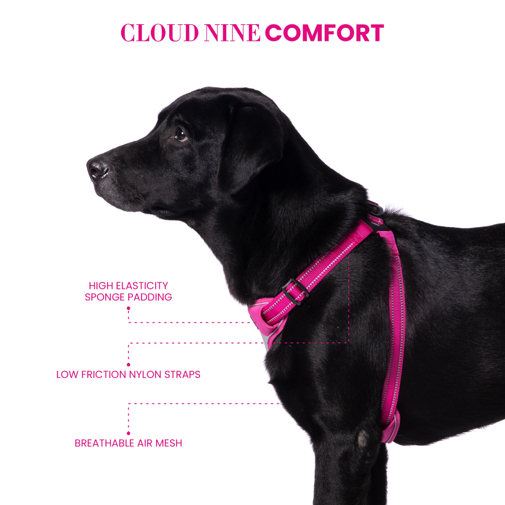Truelove Step in Harness for Dogs (Fuschia)