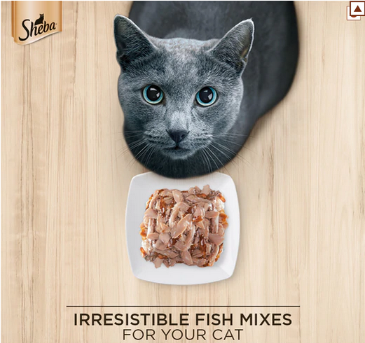 Me O Delite Tuna with Crab Sticks in Jelly and Sheba Fish with Sasami Premium Cat Wet Food Combo