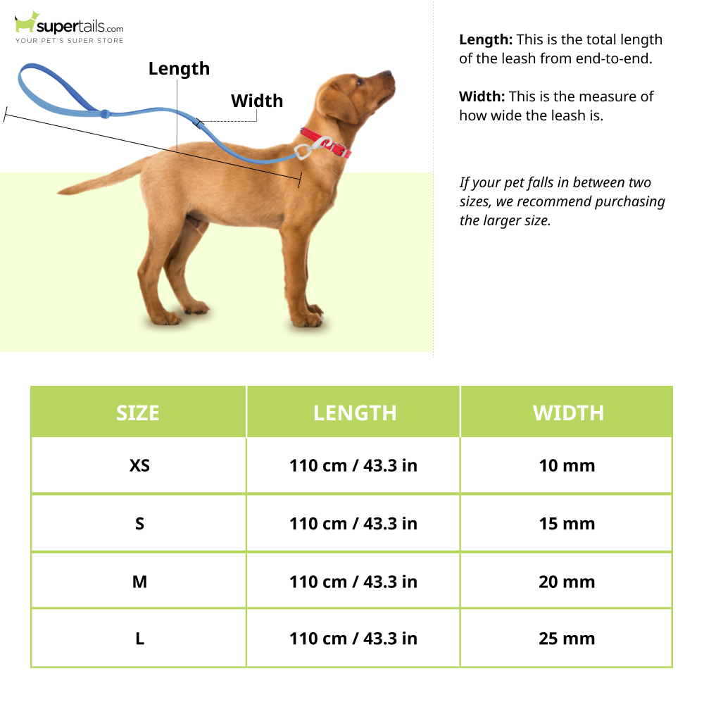 Truelove Royal Classic leash for Dogs (Blue 110cm)
