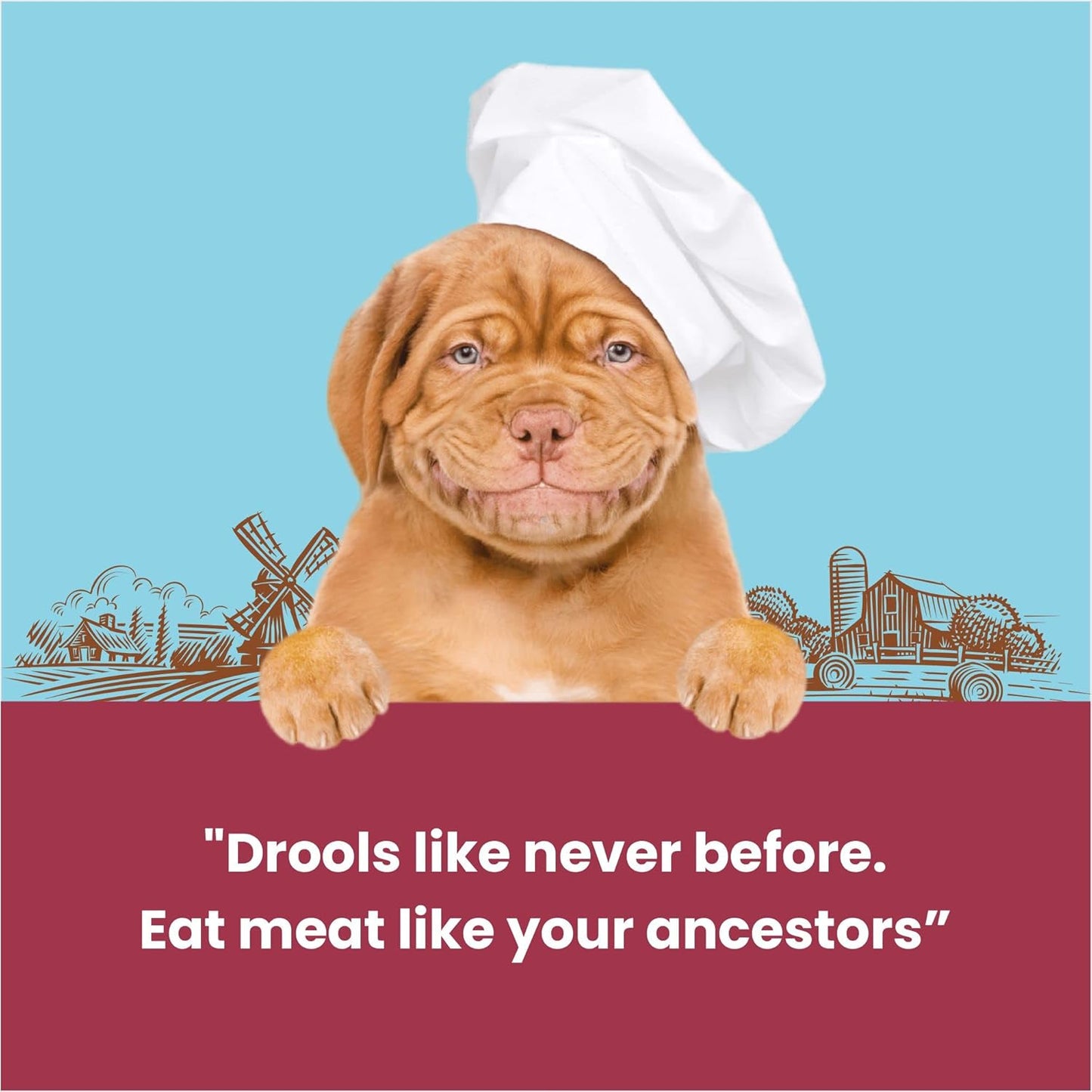 Dogfest Meat Sticks Dog Treats