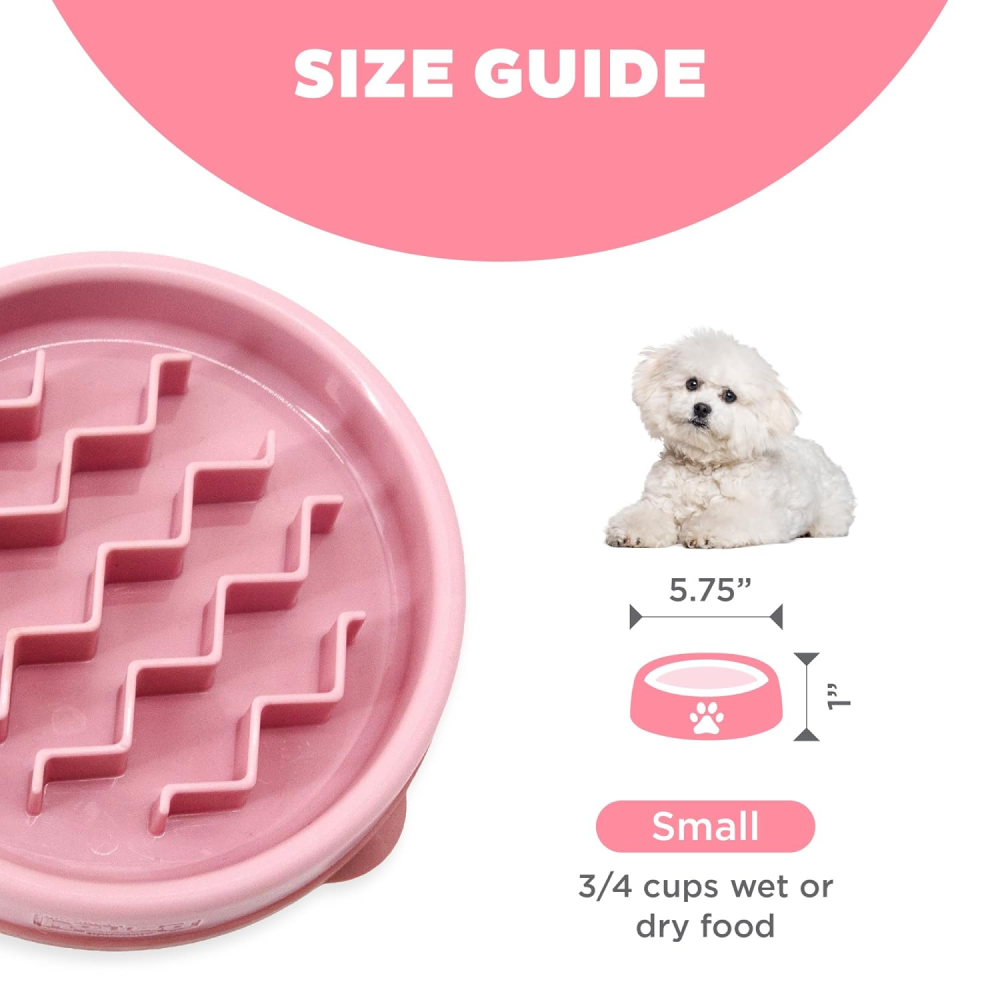 Outward Hound Fun Feeder Slow Feeder Bowl for Dogs (Pink)