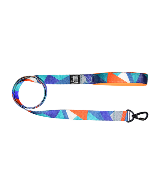 Indian Hound Nylon Printed Leash For Dogs