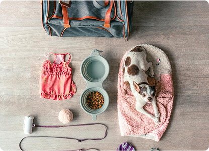 Smart Storage Ideas for Pet Supplies