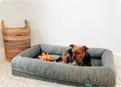 Cozy Essentials for Your Pet’s Rest Corner