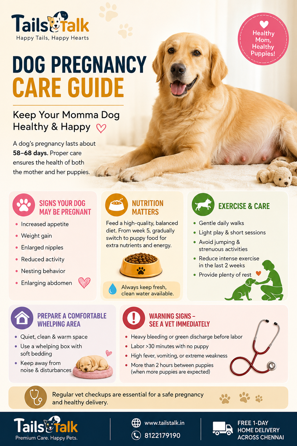 Dog Pregnancy Health Guide
