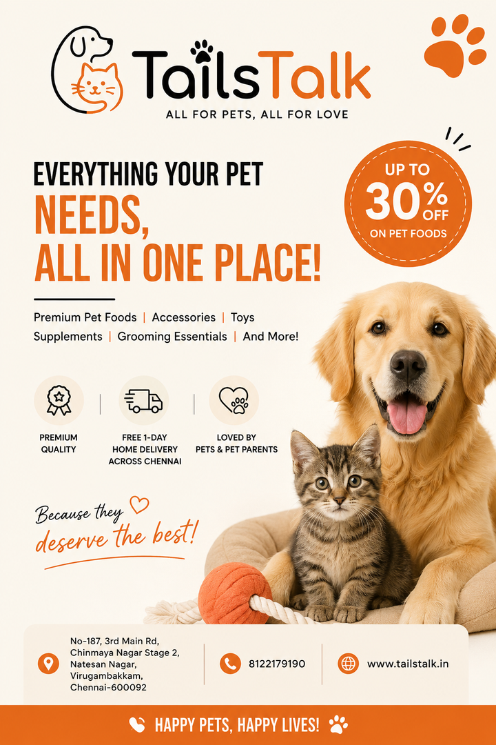 Kitten Care Guide | Complete Beginner's Guide by TailsTalk