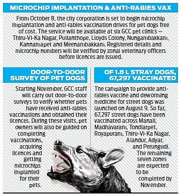📜 Chennai Pet Rules (2026 Guide for Dog & Cat Owners)
