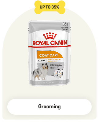 Dog Grooming