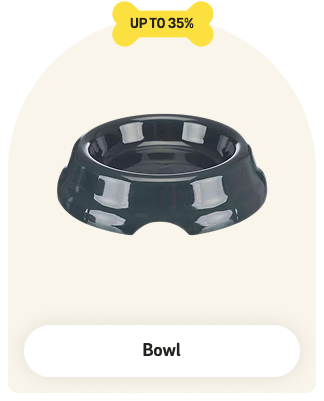Cat Bowl