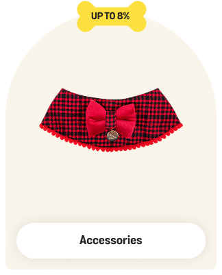 Cat Accessories