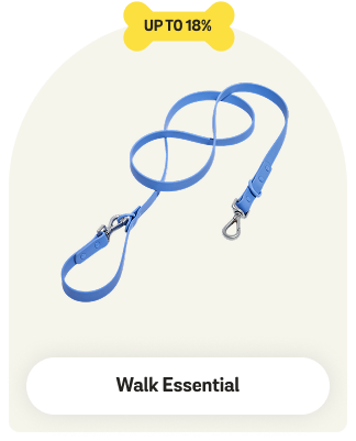 Dog Walk Essentials