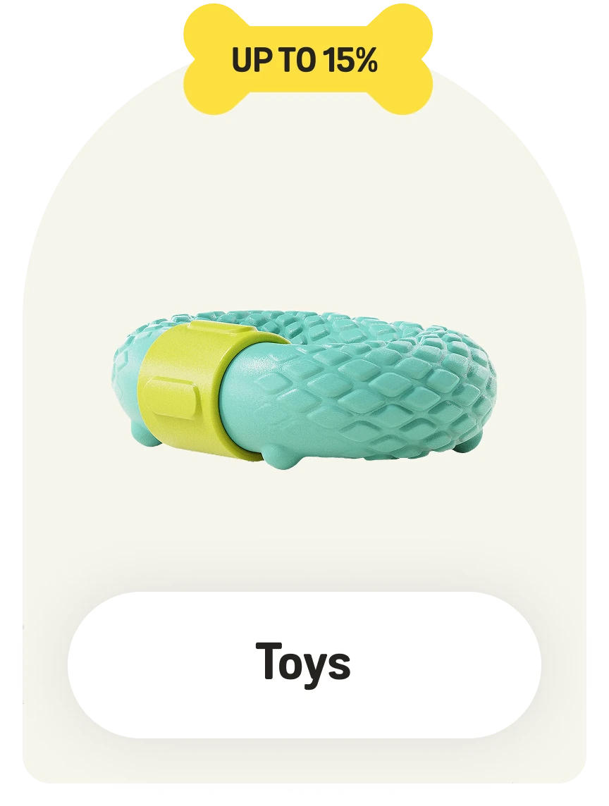 Toys Store