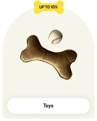 Dog Toys