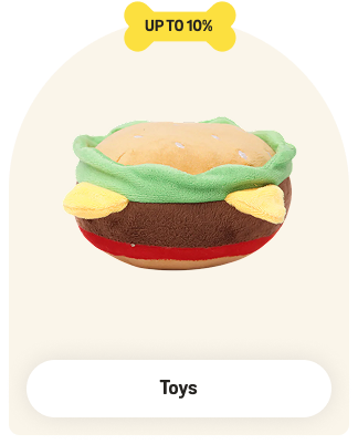 Cat Toys