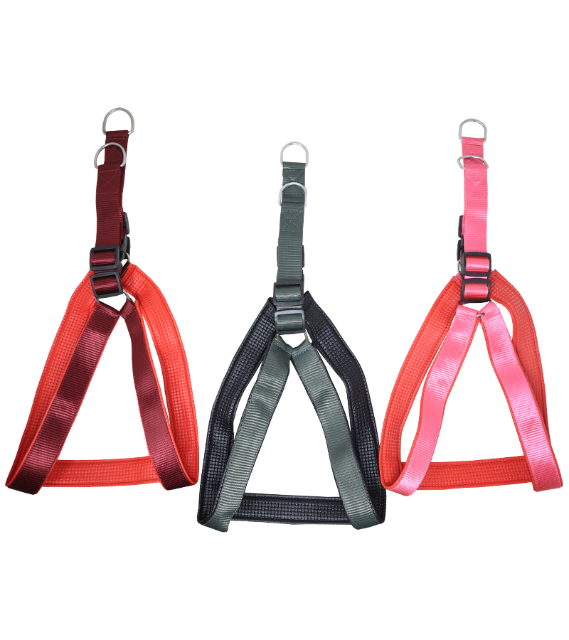 Nylon Padded Dog Harness with Adjustable Strap