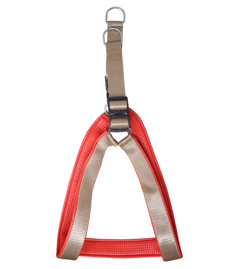 Nylon Padded Dog Harness with Adjustable Strap