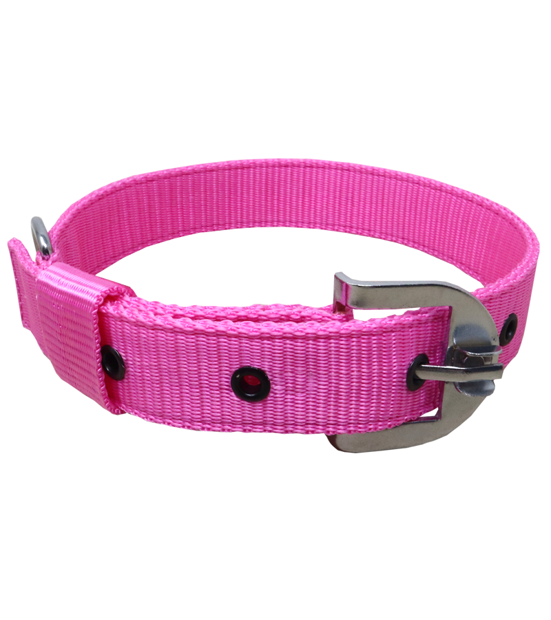 Ranch PP(Polypropylene) Collar For Dogs
